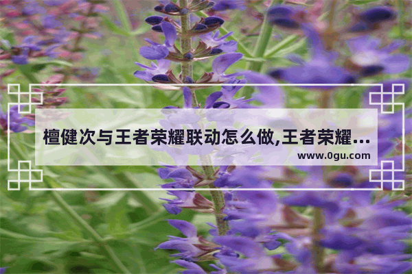 檀健次与王者荣耀联动怎么做,王者荣耀体恤