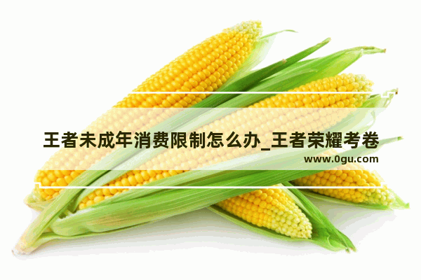 王者未成年消费限制怎么办_王者荣耀考卷