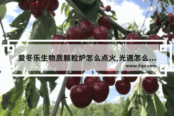 爱冬乐生物质颗粒炉怎么点火,光遇怎么点火炉