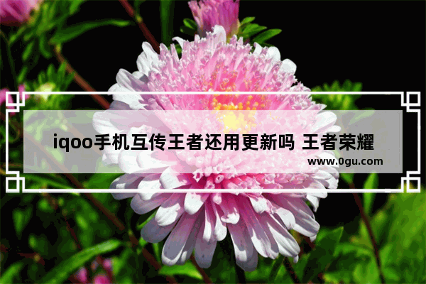 iqoo手机互传王者还用更新吗 王者荣耀互传