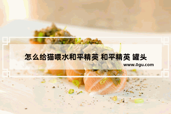 怎么给猫喂水和平精英 和平精英 罐头