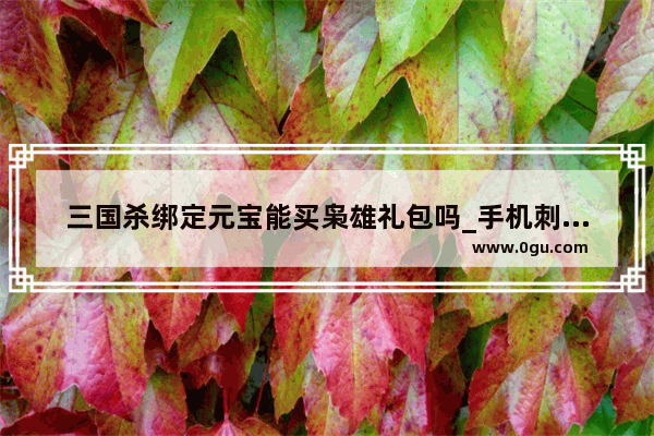 三国杀绑定元宝能买枭雄礼包吗_手机刺客信条枭雄怎么领取