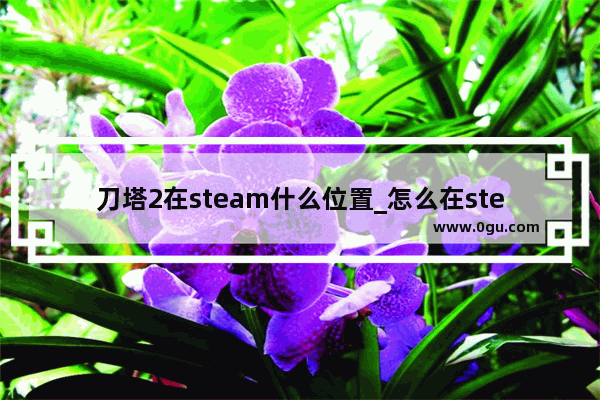 刀塔2在steam什么位置_怎么在steam上添加dota2