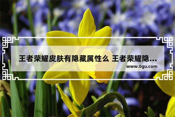 王者荣耀皮肤有隐藏属性么 王者荣耀隐藏属性