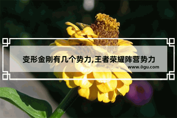 变形金刚有几个势力,王者荣耀阵营势力
