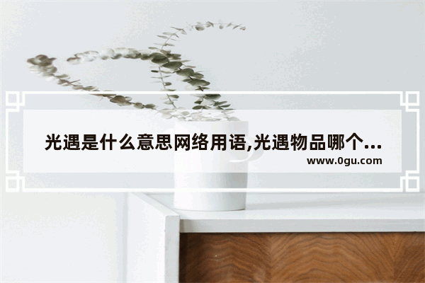 光遇是什么意思网络用语,光遇物品哪个好看