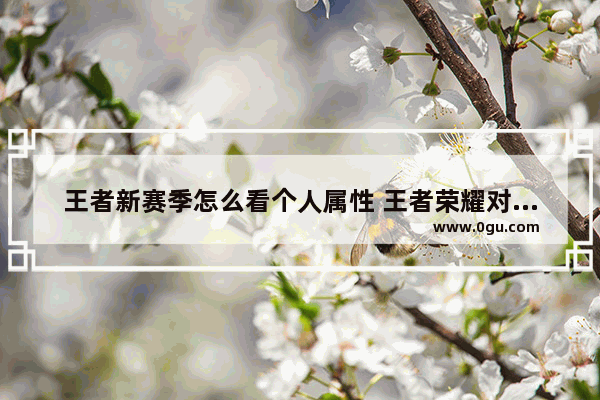 王者新赛季怎么看个人属性 王者荣耀对战属性