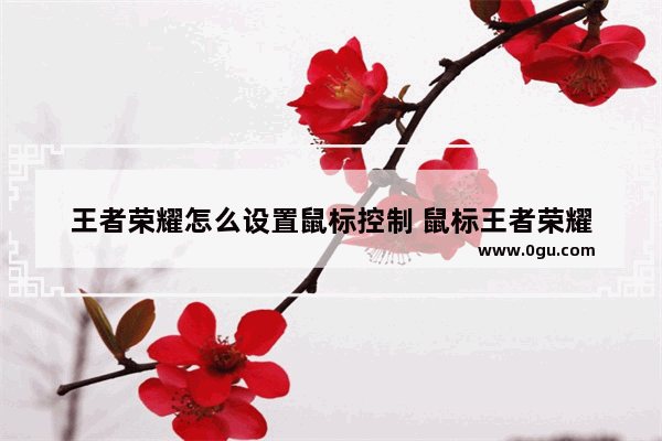 王者荣耀怎么设置鼠标控制 鼠标王者荣耀