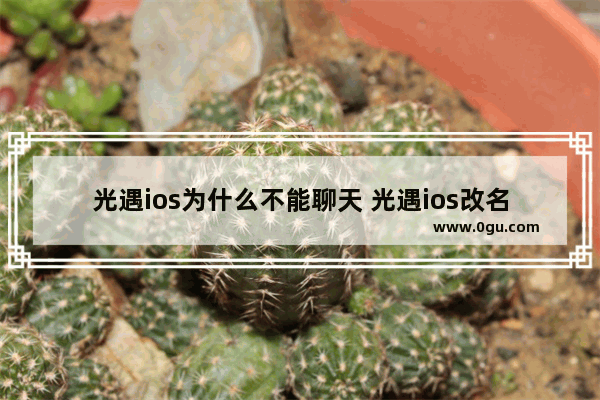 光遇ios为什么不能聊天 光遇ios改名问题