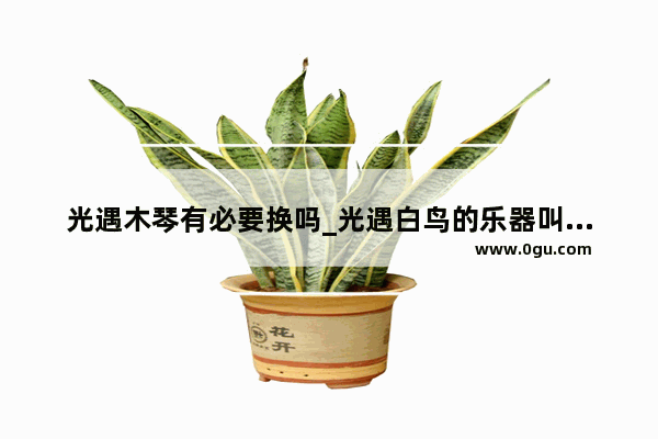 光遇木琴有必要换吗_光遇白鸟的乐器叫什么名字