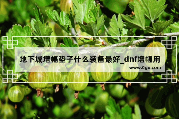 地下城增幅垫子什么装备最好_dnf增幅用什么垫子