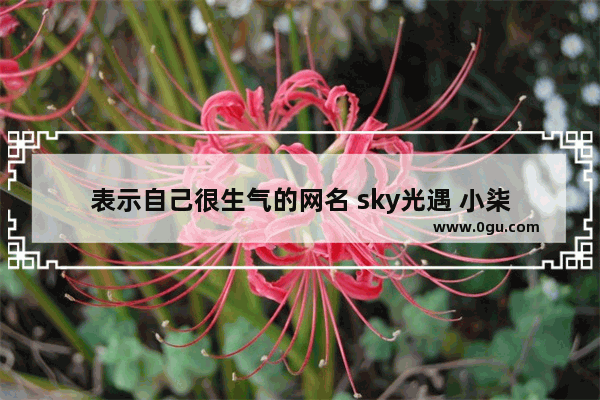表示自己很生气的网名 sky光遇 小柒