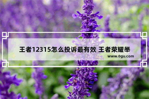 王者12315怎么投诉最有效 王者荣耀举报无效