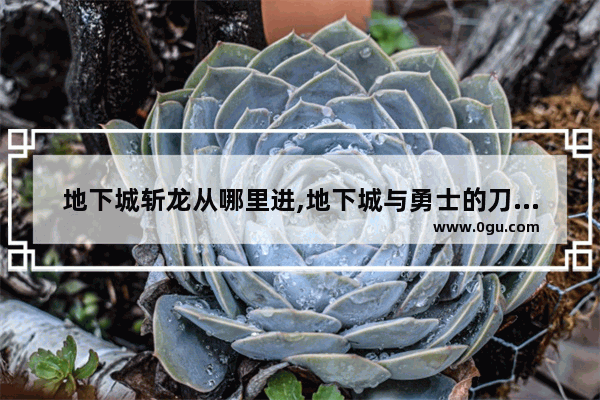 地下城斩龙从哪里进,地下城与勇士的刀去哪里打