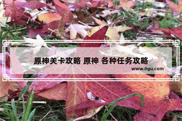 原神关卡攻略 原神 各种任务攻略