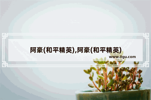 阿豪(和平精英),阿豪(和平精英)