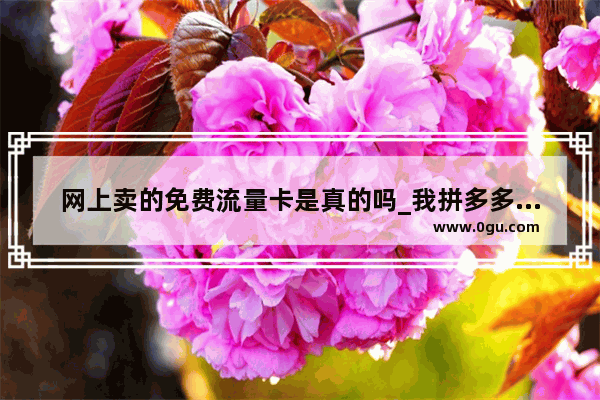 网上卖的免费流量卡是真的吗_我拼多多拼了oppo 今天通知说我免费获得一台什么意思