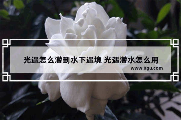 光遇怎么潜到水下遇境 光遇潜水怎么用