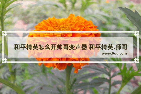 和平精英怎么开帅哥变声器 和平精英.师哥