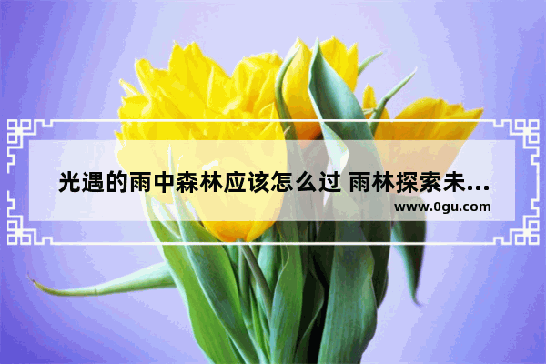 光遇的雨中森林应该怎么过 雨林探索未知光遇