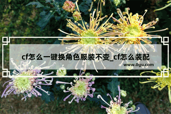 cf怎么一键换角色服装不变_cf怎么装配皮肤