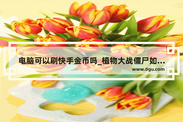 电脑可以刷快手金币吗_植物大战僵尸如何录屏刷金币