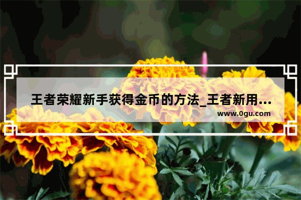 王者荣耀新手获得金币的方法_王者新用户怎么赚金币
