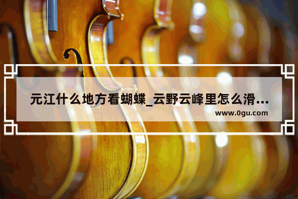 元江什么地方看蝴蝶_云野云峰里怎么滑进去