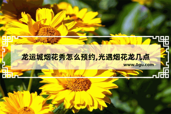 龙运城烟花秀怎么预约,光遇烟花龙几点