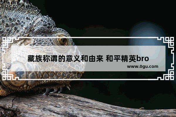 藏族称谓的意义和由来 和平精英bro