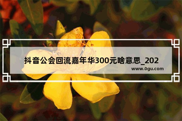 抖音公会回流嘉年华300元啥意思_2023星光大赏为什么没有赵丽颖