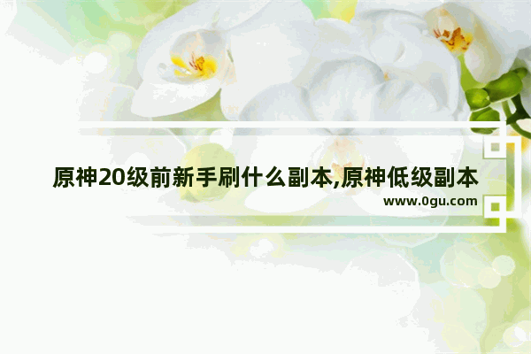 原神20级前新手刷什么副本,原神低级副本攻略