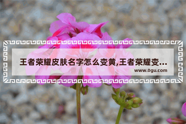 王者荣耀皮肤名字怎么变黄,王者荣耀变色代码
