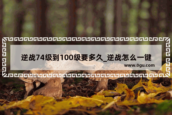 逆战74级到100级要多久_逆战怎么一键加攻击升满
