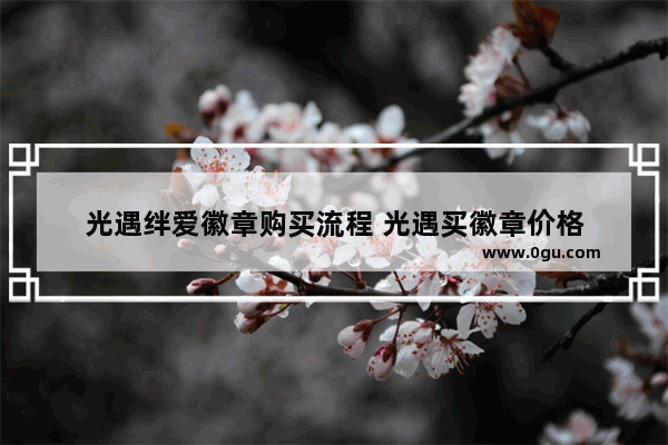 光遇绊爱徽章购买流程 光遇买徽章价格