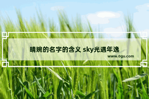 晴婉的名字的含义 sky光遇年逸
