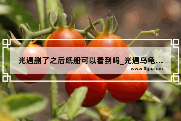 光遇删了之后纸船可以看到吗_光遇乌龟纸船显示是自己放的