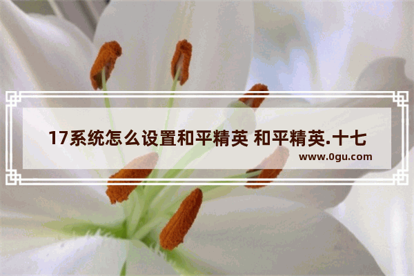 17系统怎么设置和平精英 和平精英.十七.