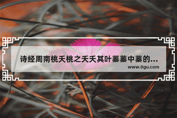 诗经周南桃夭桃之夭夭其叶蓁蓁中蓁的意思 穿越火线立蓁结婚了吗