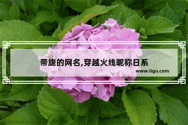 带旎的网名,穿越火线昵称日系