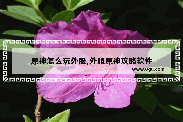 原神怎么玩外服,外服原神攻略软件