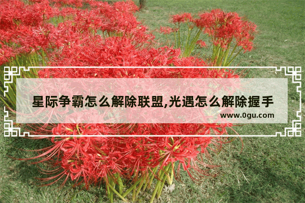 星际争霸怎么解除联盟,光遇怎么解除握手