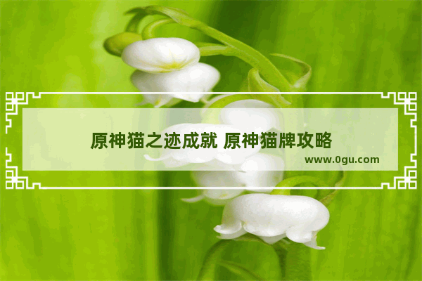 原神猫之迹成就 原神猫牌攻略