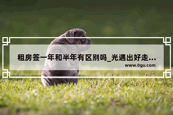 租房签一年和半年有区别吗_光遇出好走中介
