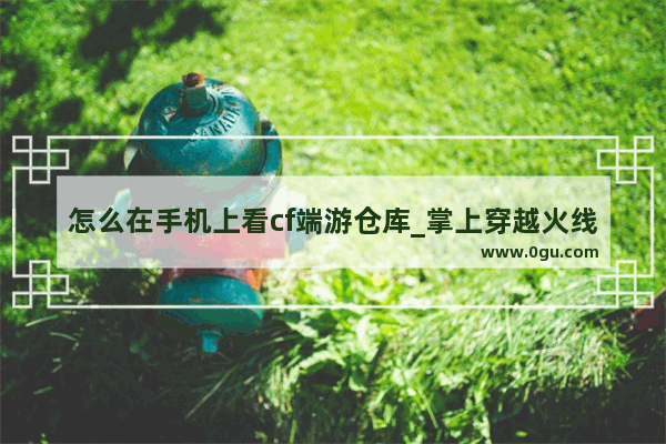 怎么在手机上看cf端游仓库_掌上穿越火线仓库怎么查不到枪皮
