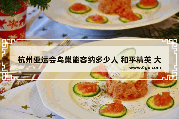 杭州亚运会鸟巢能容纳多少人 和平精英 大鸟