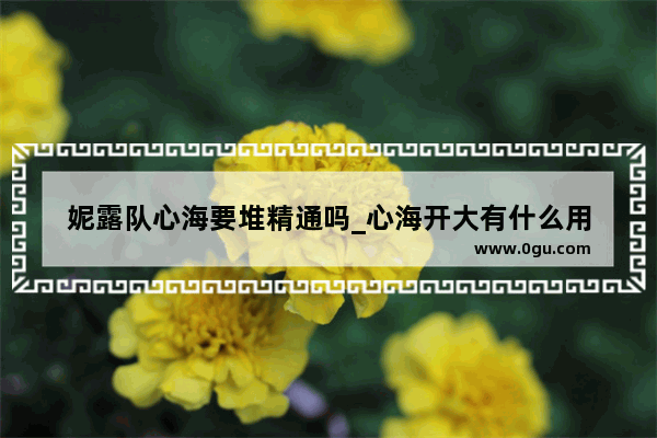 妮露队心海要堆精通吗_心海开大有什么用