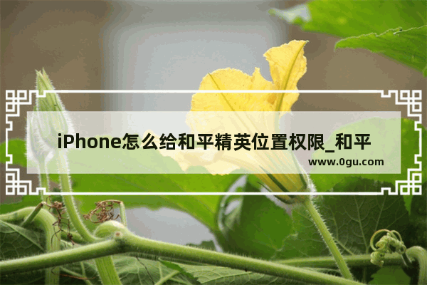iPhone怎么给和平精英位置权限_和平精英怎么定位街区 怎么查看街区排行