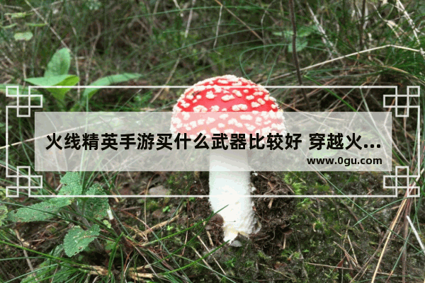 火线精英手游买什么武器比较好 穿越火线最轻的狙