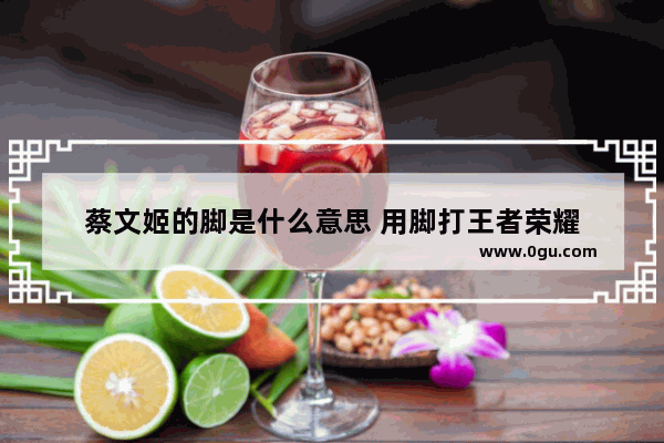 蔡文姬的脚是什么意思 用脚打王者荣耀